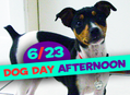 Dog Day Afternoon at Our Stores Sunday, June 23