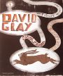 David Gray - The Fillmore - August 16, 2005 (Poster) Merch