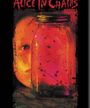 Alice In Chains - Jar of Flies (Magnet) Merch