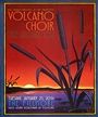 Volcano Choir - The Fillmore - January 21, 2014 (Poster) Merch