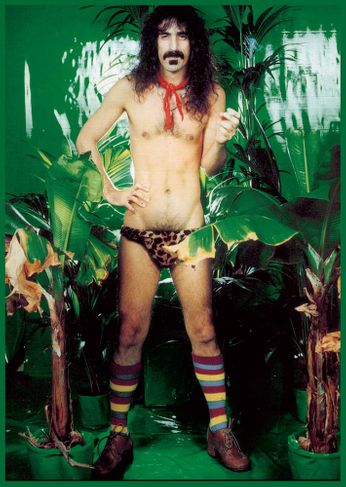 Frank Zappa - Underwear (Poster)