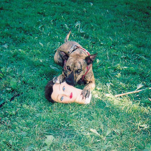 Album Art for Cody by Joyce Manor