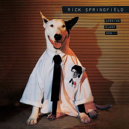 Album Art for Working Class Dog by Rick Springfield