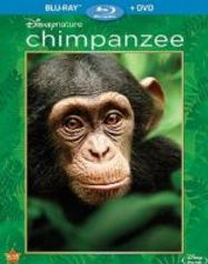Chimpanzee (BLU)