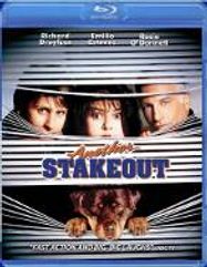 Another Stakeout (BLU) 