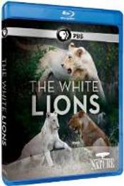 White Lions (BLU)