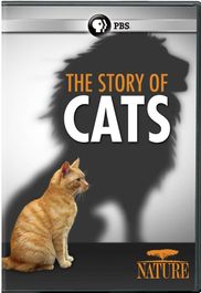 Story Of Cats