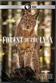 Nature: Forest Of The Lynx