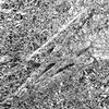Silver (CD)