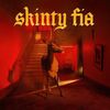 Skinty Fia (CD)