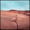 Strays (CD)