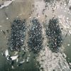 Alone Together [Silver Vinyl] (LP)