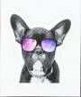 Chill Dog - Future's So Bright I Gotta Wear Shades (Sticker) Merch