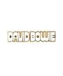 David Bowie - Hunky Dory Logo (Pin) Merch