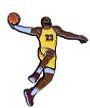 Lebron James (Pin) Merch