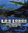 Los Lobos - The Fillmore - February 26 & 27, 2000 (Poster) Merch