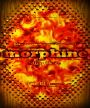 Morphine - The Fillmore - June 9 & 10, 1995 (Poster) Merch