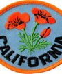 California Poppies (Patch) Merch