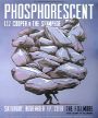 Phosphorescent - The Fillmore - November 17, 2018 (Poster) Merch