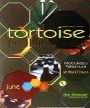 Tortoise -The Fillmore - June 5 & 6, 2001 (Poster) Merch
