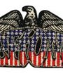Deftones American Eagle (Patch) Merch