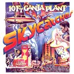 邦楽 KILLER-BONG 10TRACKS CD-R WEED JAZZ 10 Ft. Ganja Plant - Hillside Airstrip (CD) - Amoeba Music