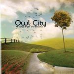 Owl City - Ocean Eyes (Vinyl LP) - Amoeba Music