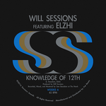 Will Sessions - Elmatic Instrumentals (Vinyl LP) - Amoeba Music