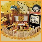 WASHED OUT PARACOSM LP クリアビニール Washed Out - Paracosm (Vinyl LP) - Amoeba Music