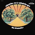 The Dramatics Greatest Hits Live Cd Amoeba Music