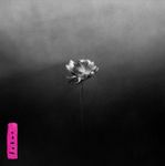 Little Simz - Sometimes I Might Be Introvert [Milky Clear