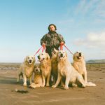 Mall Grab - How The Dogs Chill Vol. 1 (Vinyl 12