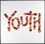 Citizen - Youth (CD) - Amoeba Music