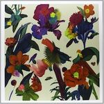 Washed Out - Paracosm (Vinyl LP) - Amoeba Music
