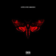 Lil Wayne, I Am Not A Human Being II (CD)