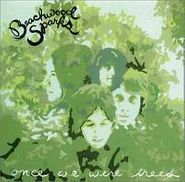 Beachwood Sparks, Once We Were Trees (CD)