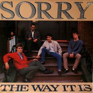 Sorry, The Way It Is (LP)