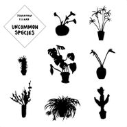 Various Artists, Uncommon Species (12")
