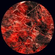 AWB, Celestial Longitude EP (12")