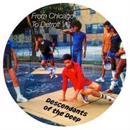 Various Artists, From Chicago To Detroit Vol. 6 (12")