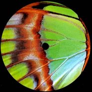 Pearson Sound, Robin Chasing Butterflies (12")