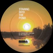Joey Anderson, Staring Into The Pond (12")