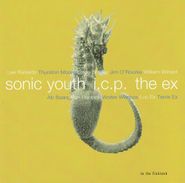 Sonic Youth, In The Fishtank (CD)