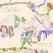 The Chris Robinson Brotherhood, Barefoot In The Head (LP)