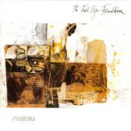 The Third Eye Foundation, Little Lost Soul (CD)
