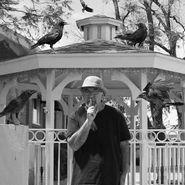 Eddy Detroit, Black Crow Gazebo (LP)