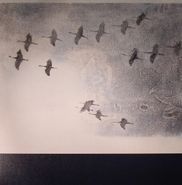 Stephen O'Malley, Gruidés (LP)