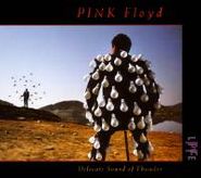 Pink Floyd, Delicate Sound Of Thunder: Live (CD)