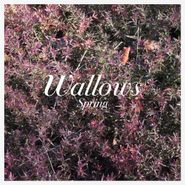 Wallows, Spring EP (CD)