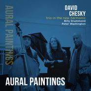 David Chesky, Trio In The New Harmonic: Aural Paintings (CD)